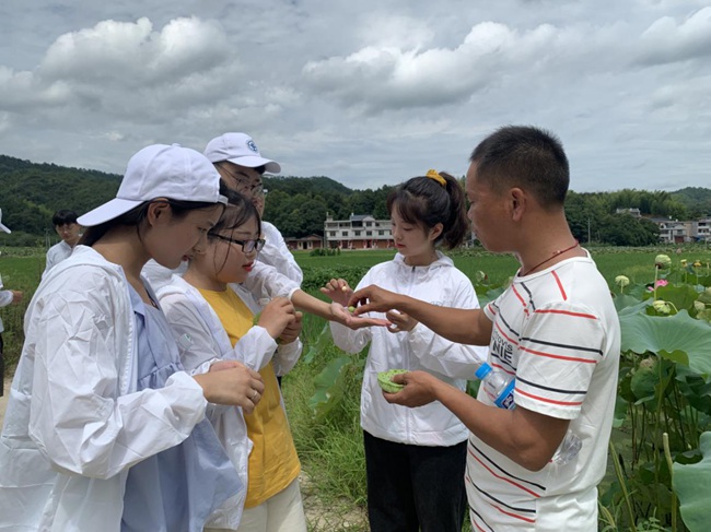 隊員參觀蓮子生產(chǎn)基地。福建船政交通職業(yè)學院供圖